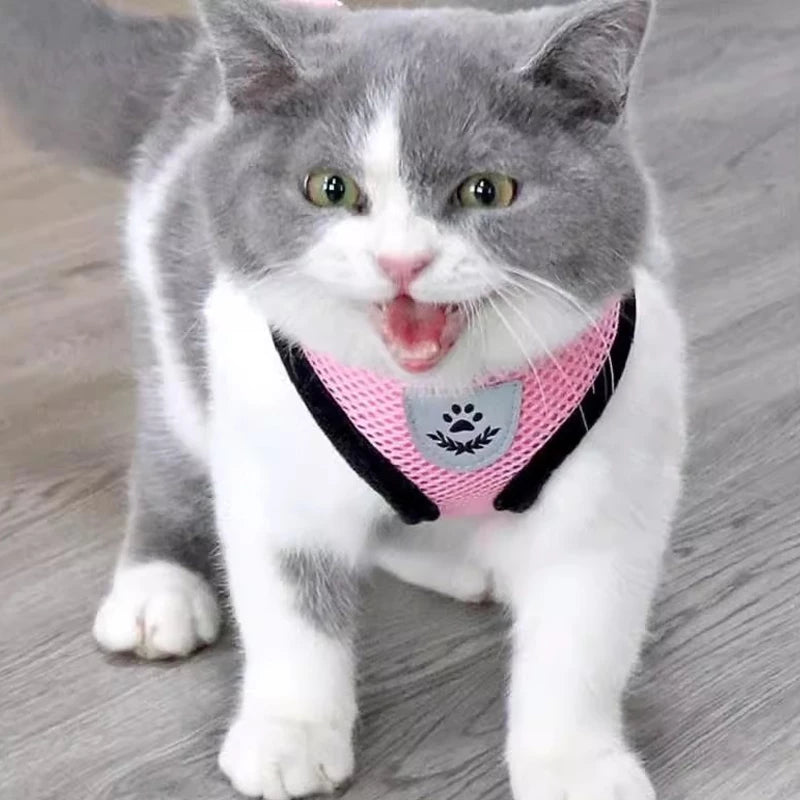 Coleira Peitoral Cachorro E Gato, Conjunto De Guia + Coleira Tipo Colete Para Pet Pequenos E Médios