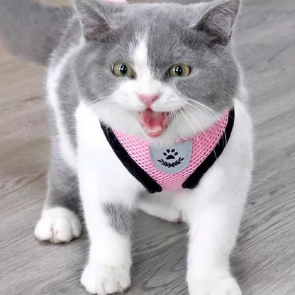 Coleira Peitoral Cachorro E Gato, Conjunto De Guia + Coleira Tipo Colete Para Pet Pequenos E Médios