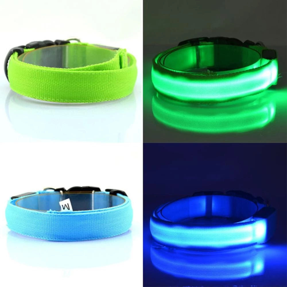 Coleira Led para Animais De Estimação Coleiras De Segurança Noturna
