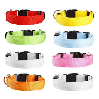 Coleira Led para Animais De Estimação Coleiras De Segurança Noturna